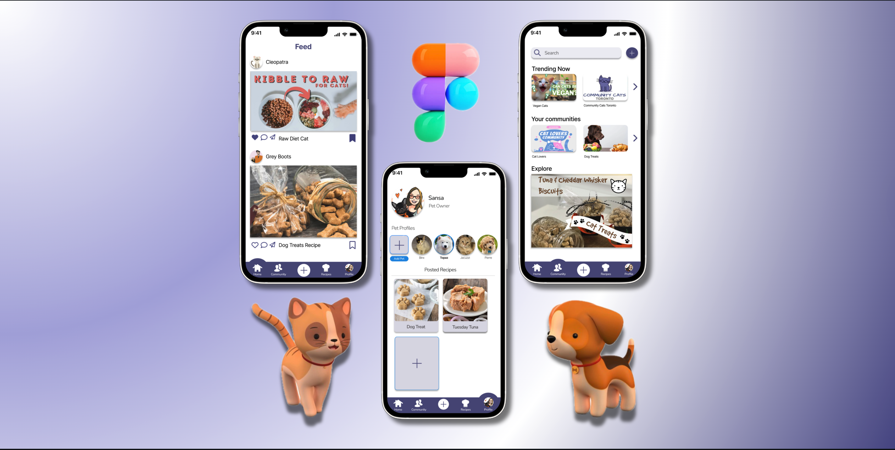 Balanced Paws - Project Cover